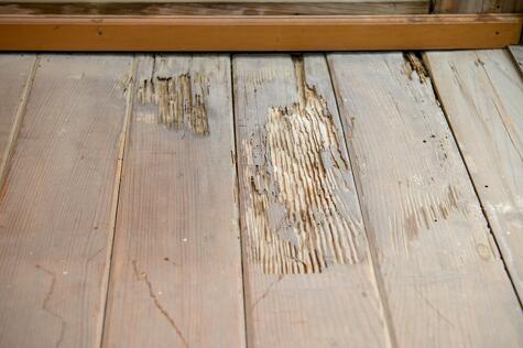 空き家活用相談 | 愛知県・岐阜県・三重県で空き家活用ならヤモタス