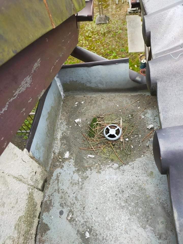 空き家排水構の詰まり | 愛知県・岐阜県・三重県で空き家管理・活用ならヤモタス