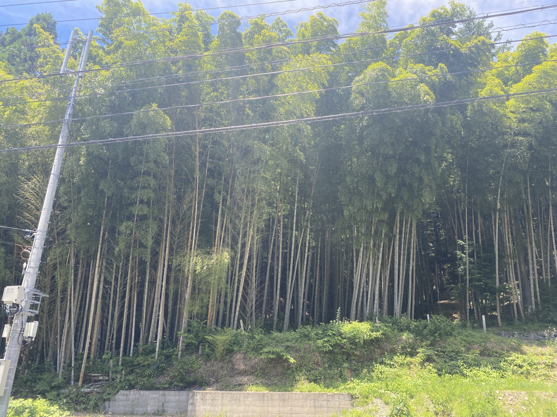 空き家周辺の様子 | 愛知県・岐阜県・三重県で空き家管理・活用ならヤモタス